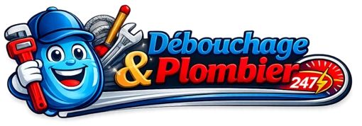 Débouchage & Plombier 24/7 Châtelet logo - Débouchage canalisation WC éviers intervention rapide 24h/7j Châtelet Belgique